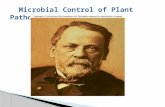 Microbial control of plant pathogens