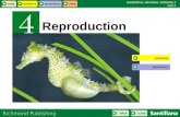 U04 Reproduction
