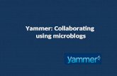 Yammer - Collaborating with microblogs
