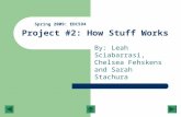 Project #2: How Stuff Works