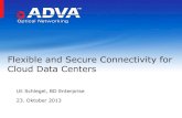 Flexible and Secure Connectivity for Cloud Data Centers