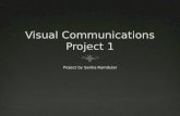 Project 1 powerpoint