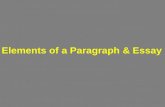 Elements And Types Of Paragraphs