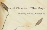 Reading Notes Chapter 23