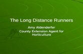 The long distance runners mg