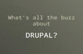 What's the Buzz about Drupal?