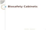 Biosafety cabinets /medical microbiology Biosafety