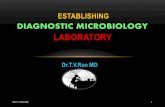 Establishing the Diagnostic Medical Microbiology De
