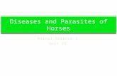 Diseases and parasites of horses