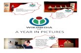 Wikipedia A Year In Pictures