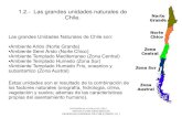 1.2 Unidades Geo ambientales naturales de Chile