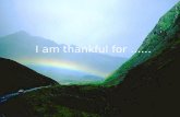 Thankful by amy seah