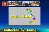 Vietnam- A destination for tourists
