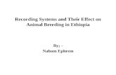 Recording systems and their effect on animal breeding in Ethiopia