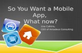 So You Want a Mobile App? What Now?