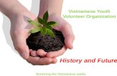 Vietnamese Youth Volunteer Organization