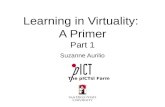 Learning in Virtuality