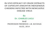 In vivo efficacy of crude extracts of capsicum annum by lagu charles
