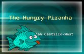 The Hungry Piranha Final Project 2[1]