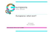 CulturaItalia - Europeana: what next? (EN)