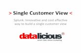 SMX Splunk Single Customer View