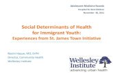 Social Determinants of Health for Immigrant Youth: Experiences from St. James Town Initiative