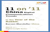 Burson-Marsteller China Digital Trends for 2011