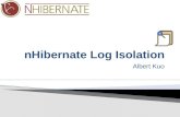 nHibernate Log Isolation