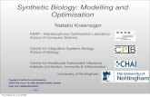 Synthetic Biology -  Modeling and Optimisation