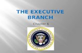 The Executive  Branch