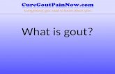What is gout
