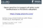 Practice in support of wide-scale institutional e-Portfolio adoption