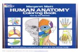 Anatomy coloring book   dover