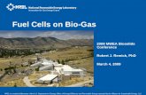 Fuel cell from bio gas