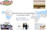 Neelam Group Profile
