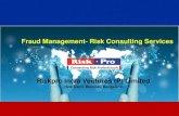 Fraud Risk  Services Brochure
