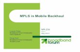 MPLS in Mobile Backhaul