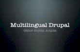 Multilingual Drupal