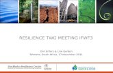 Resilience Topic Working Group IFWF3