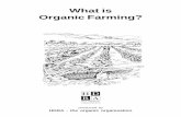 Companion Planting and Organic Farming - HDRA