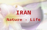Iran Nature  Life