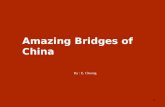 China  _'s_amazingbridges-2003v