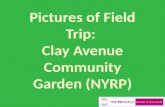 Field trip photos - SFE Sustainability