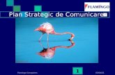 Plan strategic de comunicare pre-IPO