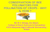 Conservation of bee pollinator for pollination of crops why & how