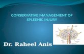 Conservative management of spleenic injury by dr. raheel anis.