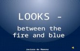 Looks   Between The Fire And The Blue