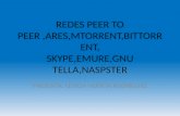 Redes peer to peer.pptx15 nov