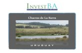 Chacras de La Barra Phase One Residential Lots