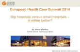 Ernst Walther: Efficiency and economy in German hospitals